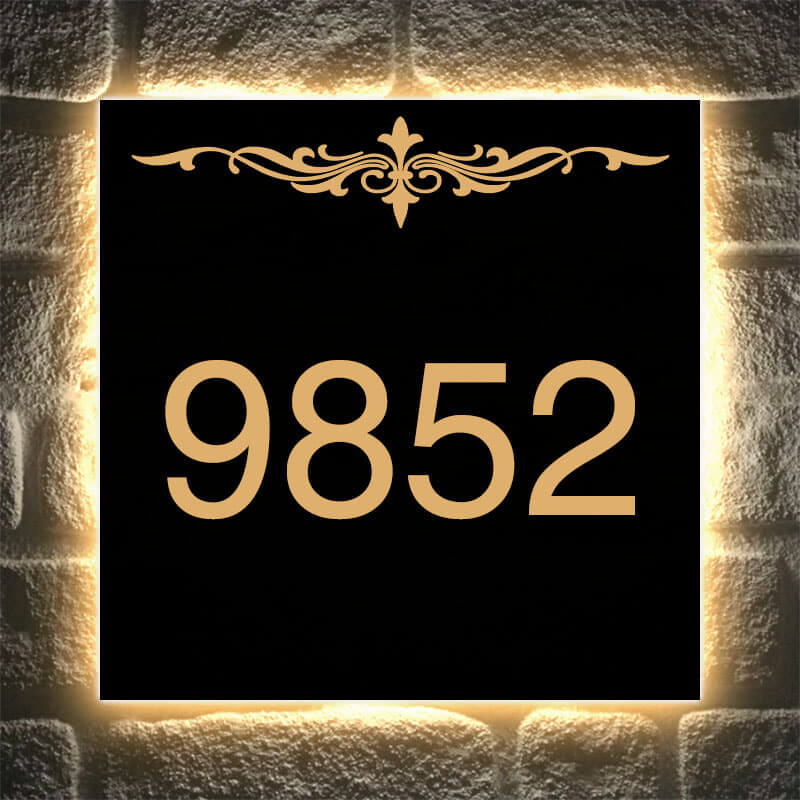 Low voltage house numbers Lighted Address numbers Customized Art LED Neon Light