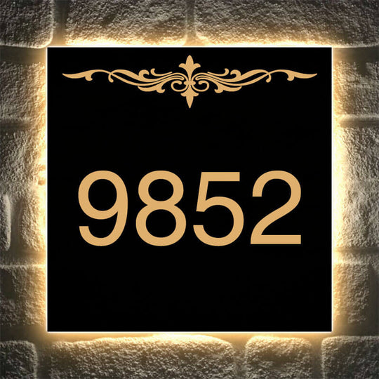 Low voltage house numbers Lighted Address numbers Customized Art LED Neon Light
